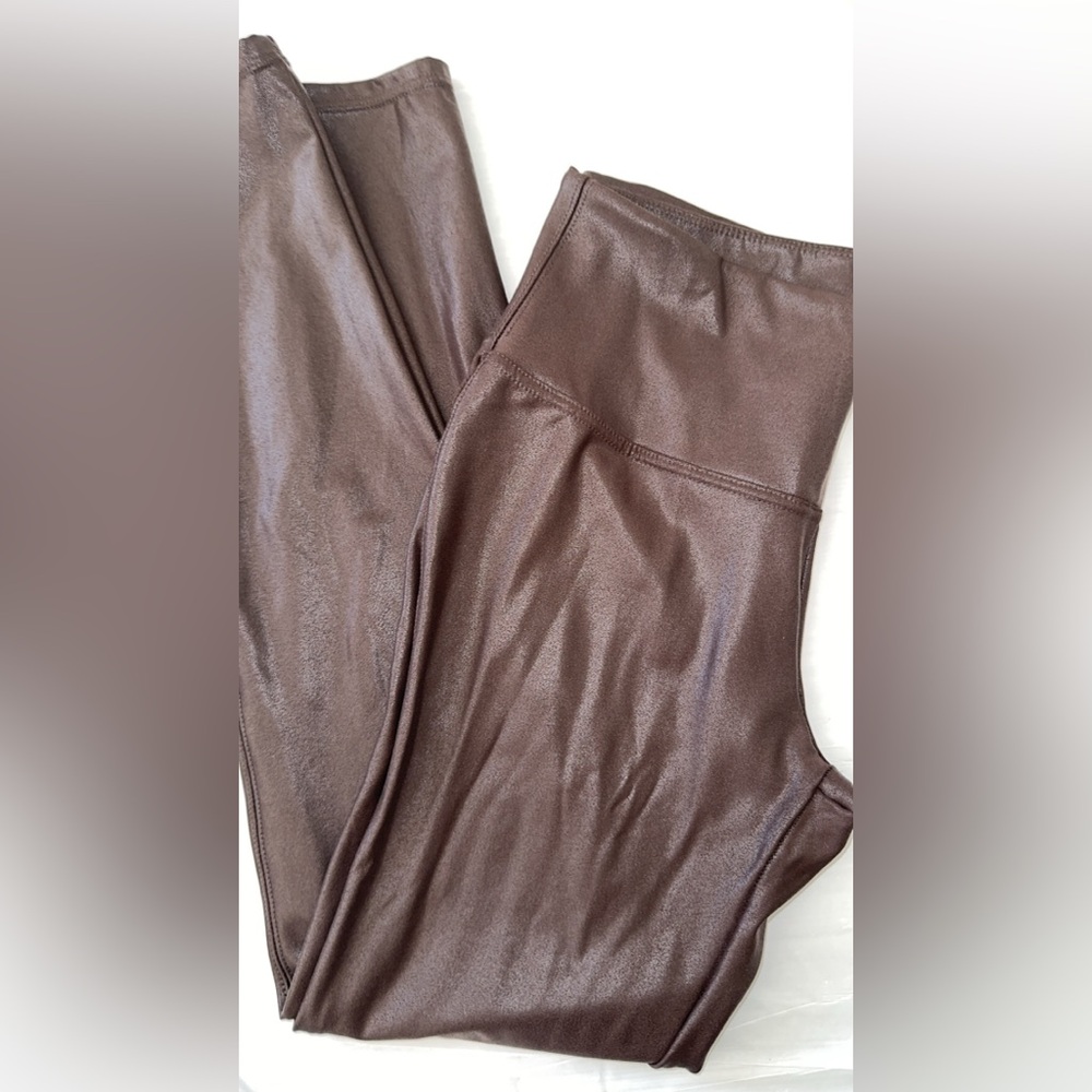 Time and Tru Shimmering Brown Leggings